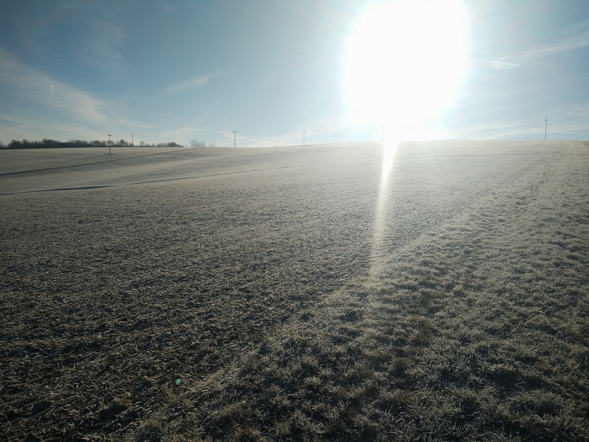 January landscape